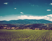 如何购买不翻车的手机号呼叫轰炸app